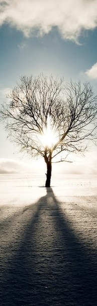 Машка Табакова | Великий Новгород