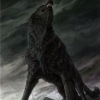 Аватар: Забытый Но-Не-Исчезнувший