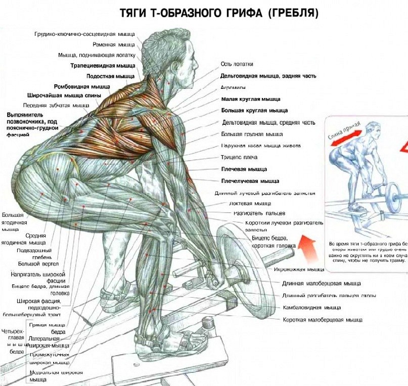 Алексей Онипко | 