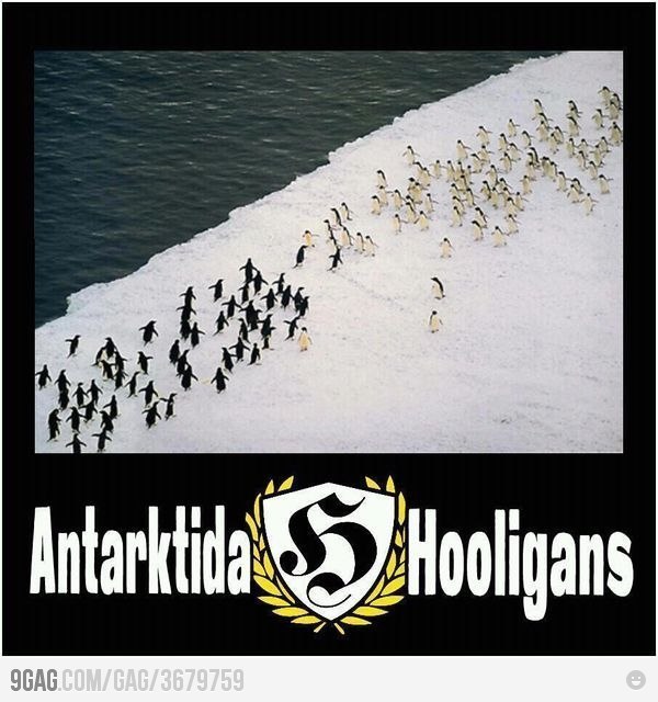 Денис Перевезенцев Chester | Москва