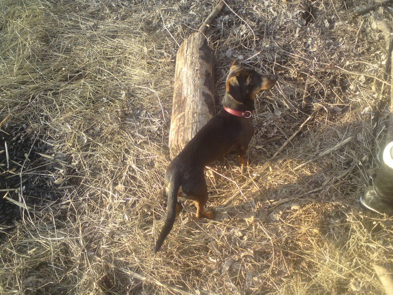 Татьяна Мицевич | Кропивницкий / Кировоград