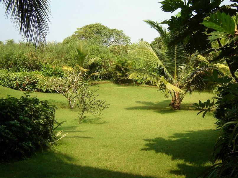 Роза Ветров | Самара