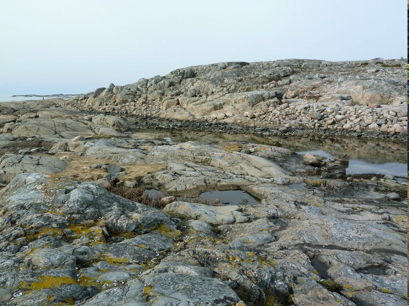 Tatiana Semenova | Санкт-Петербург