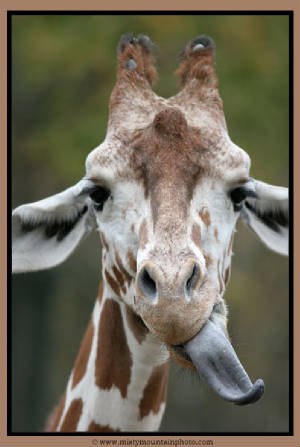 Niki Ta | Москва