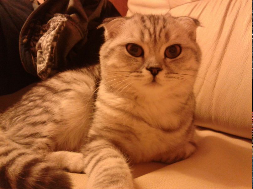 Екатерина Тюрина | Москва