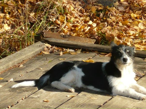 №3, Надя Пастухова №3, Надя Пастухова