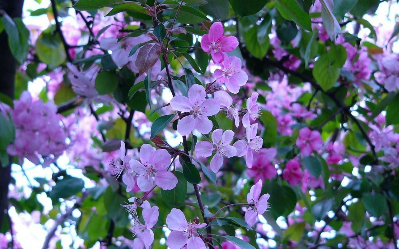 Katerina Korneeva | Санкт-Петербург