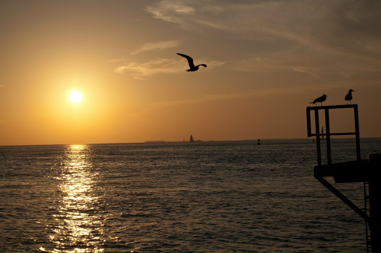 Линар Абдулин | Уфа