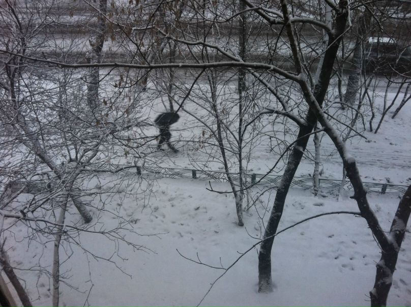 №137, Аня Чаплиева, Москва №137, Аня Чаплиева, Москва