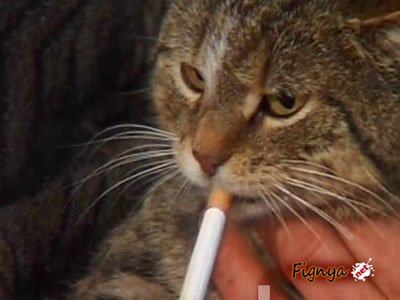 №79, Ігор Крук, Львов №79, Ігор Крук, Львов