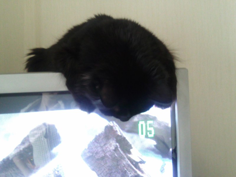 Юля Закайте | Москва