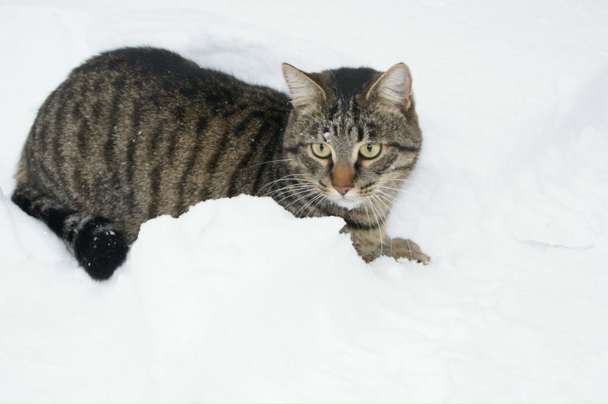 Настена Шатилова | Москва