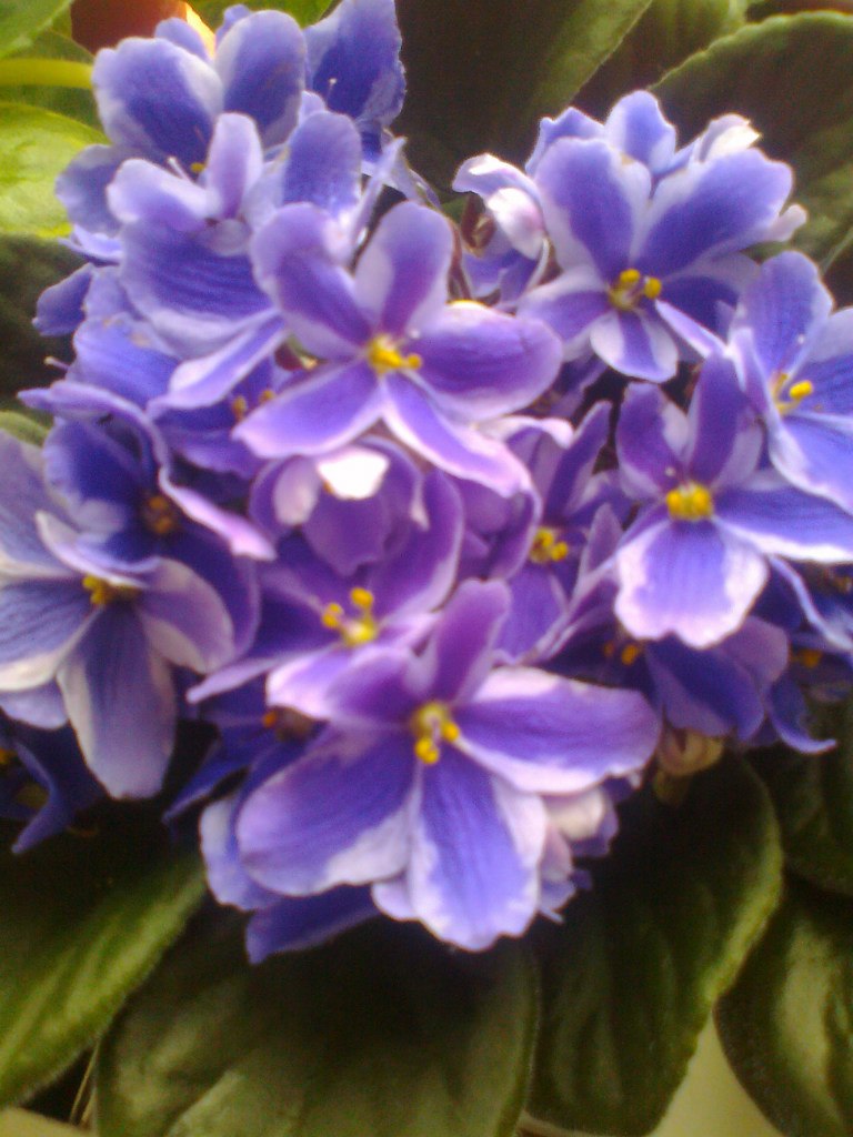 Яна Уфимцева | Сургут