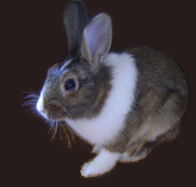 Ирочка Орлова | Пушкино