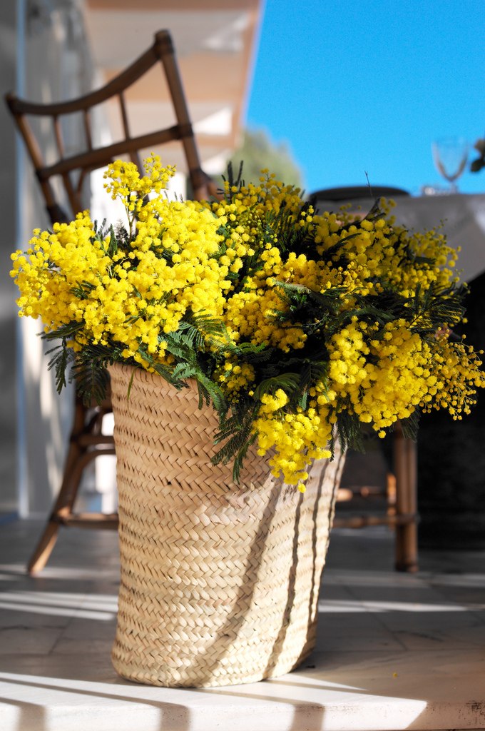 Маша Кошкина | Санкт-Петербург