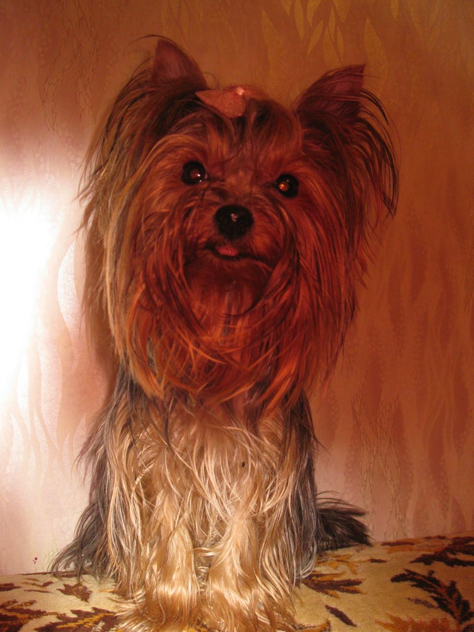 Екатерина Крупина | Йошкар-Ола