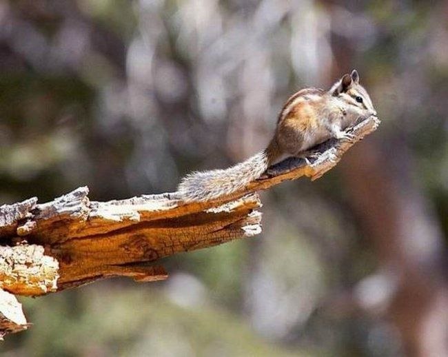 Жанна Броздниченко | Санкт-Петербург