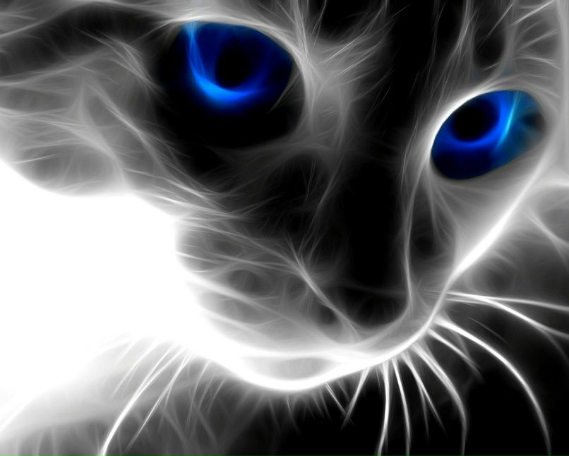 Верусик Политеко ((h)) | Москва