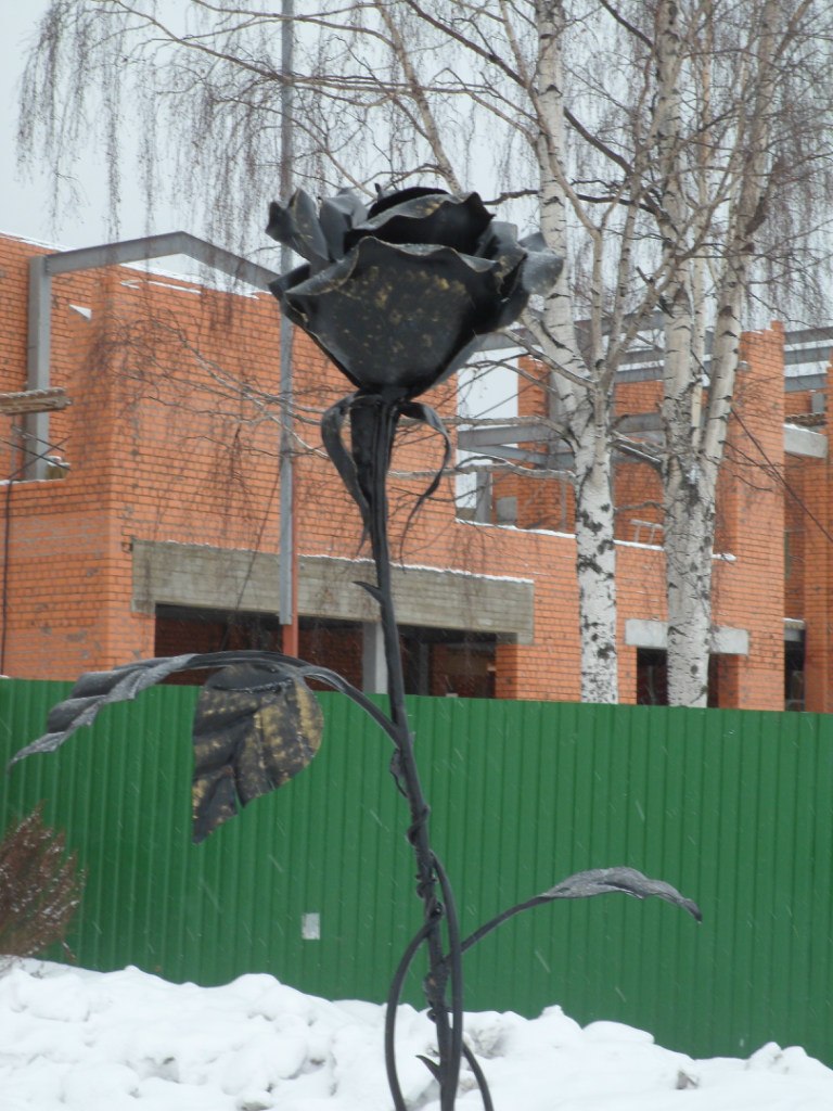 Марина Богданова | Каргополь