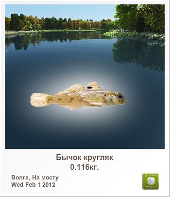 Артем Румянцев | Химки