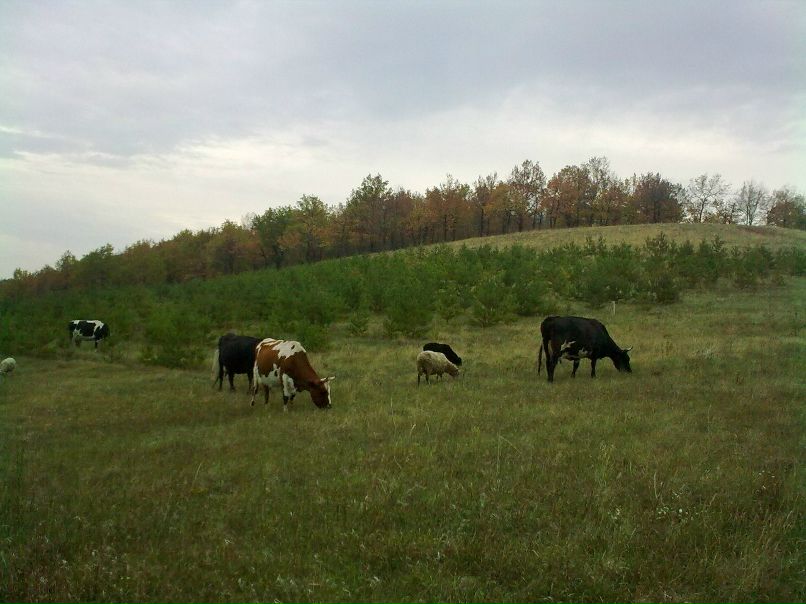 Татьяна Терехова | Альметьевск