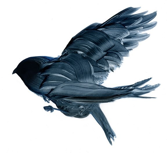 Кириллова Кики | Санкт-Петербург