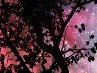 Татьяна Саленко | Мозырь