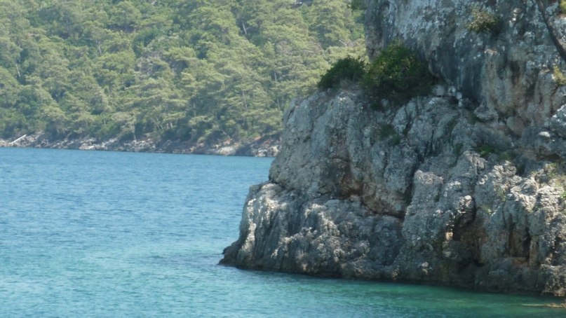 Svetlana Gubareva GuS. | Москва