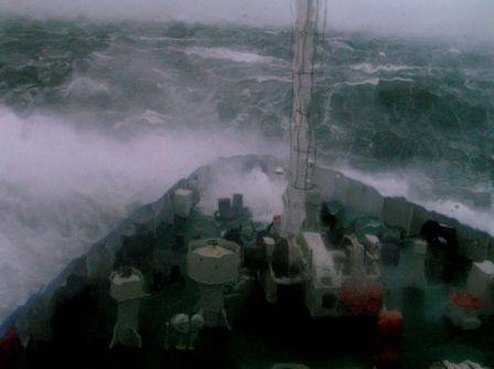 №105, Юльчик Мухомедзянова, 39 лет, Санкт-Петербург №105, Юльчик Мухомедзянова, 39 лет, Санкт-Петербург