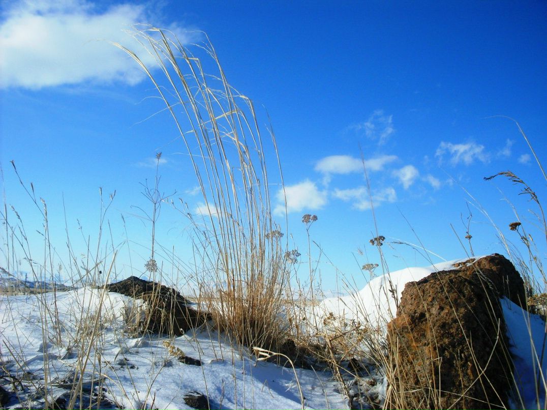 Анюта Маркелова PangoLin | Солнечногорск