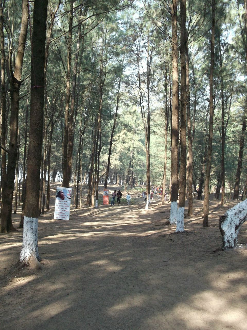 Любовь Арбанакова Савельевна | Горно-Алтайск