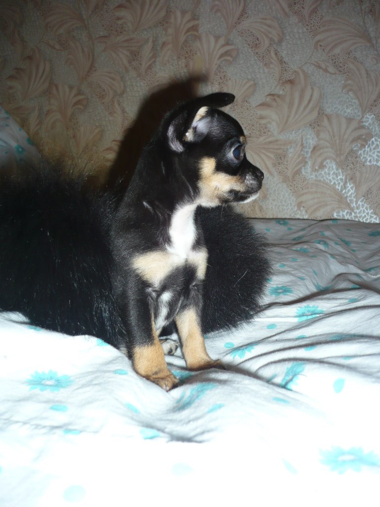 Наталия Ионова пани Чуня | Москва