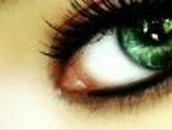 Виктор Волянский 勝利者 | Днепр (Днепропетровск)