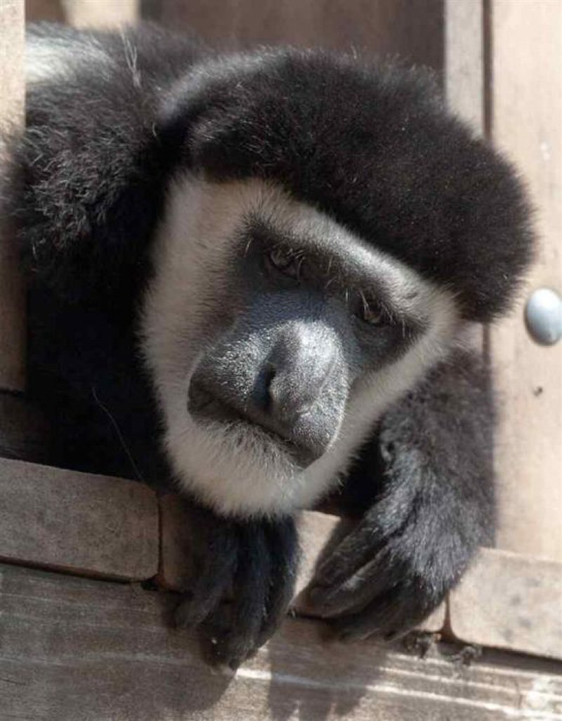 Георгий Мясников | Нижний Новгород