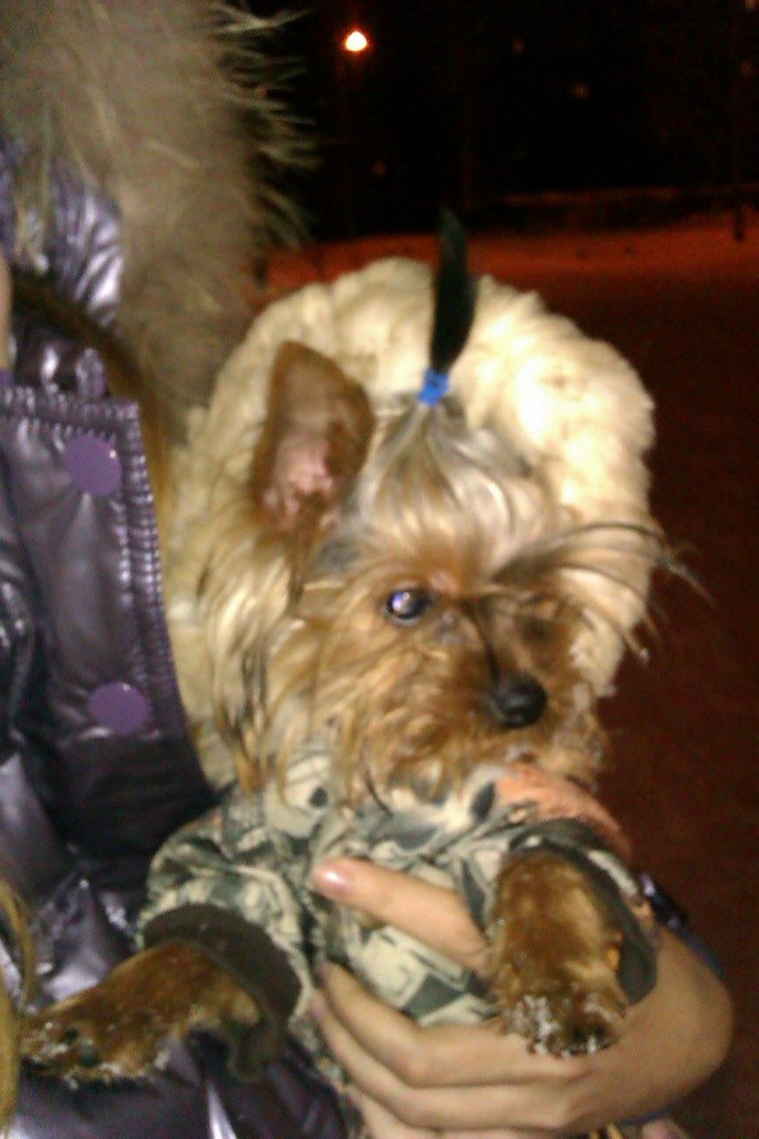 Екатерина Вовченко | Казань