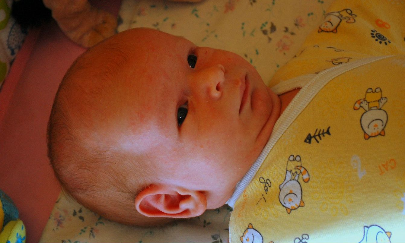 Светлана Борок kania | Москва