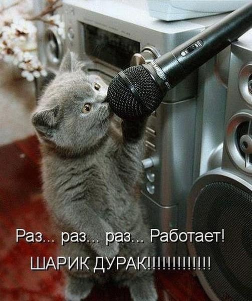 Даня Волков | Нежин