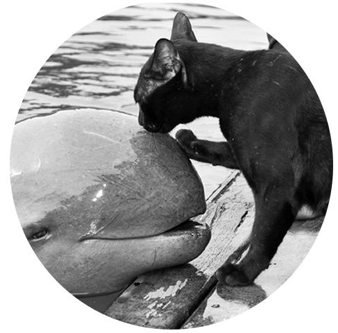 Ната Иванишкина | Одесса