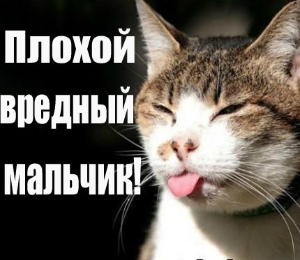 №103, Алексей Телицын, 38 лет, Кимры №103, Алексей Телицын, 38 лет, Кимры