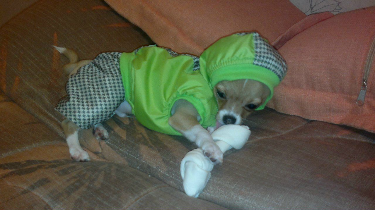 Алексей Манглер © | Москва