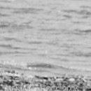 Елена Кузичева фото со стены #6