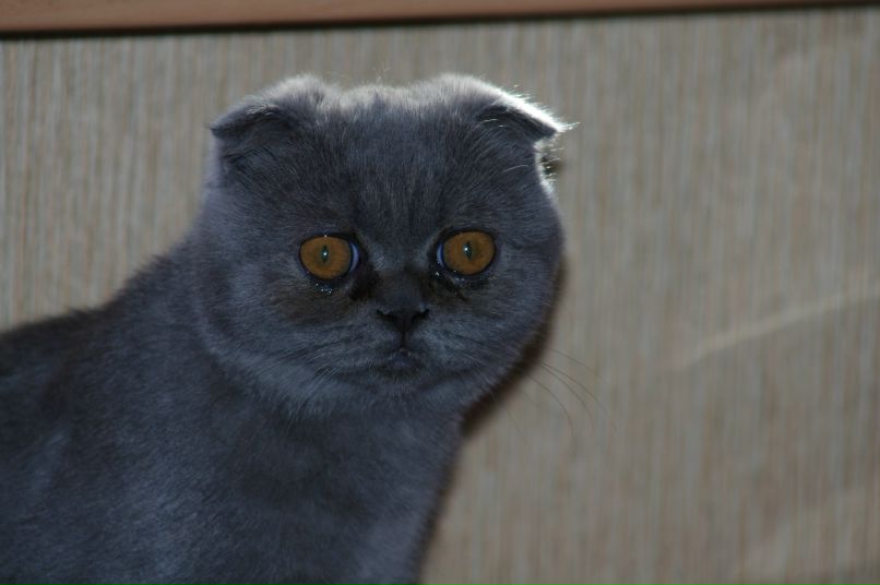 Наталья Заозерская зозя | Мурманск