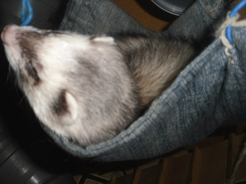 Вера Бойко | Северск