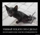 №24 Магомед Гаургашвили 09.08.1993: профиль, фото, статус - ВКонтакте