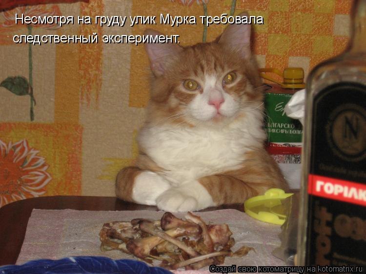 Денис Иванов | Волгоград