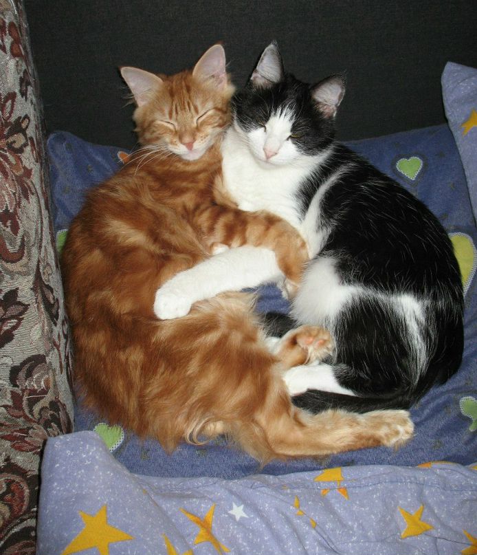 Наталья Макеенок | Буй