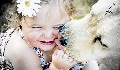 Иван Балакчи | Praha