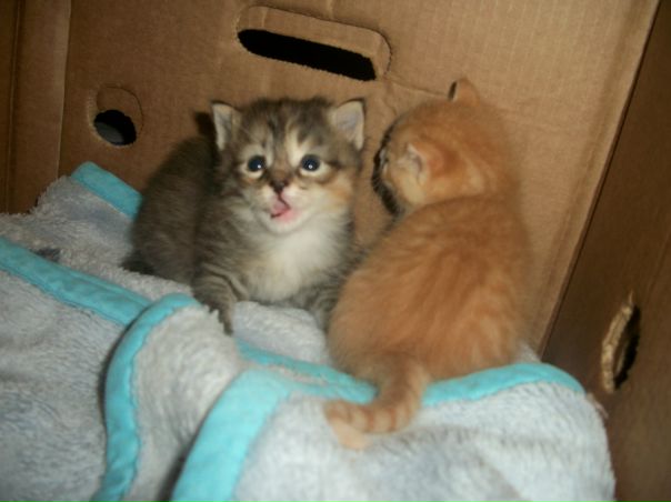 №2, Полина Кубасова, Москва №2, Полина Кубасова, Москва