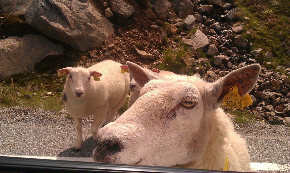 №65, Вова Иванов, Санкт-Петербург №65, Вова Иванов, Санкт-Петербург