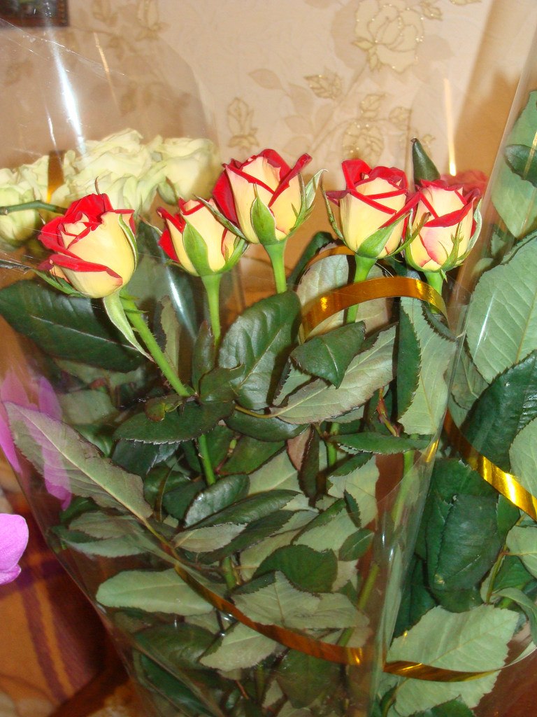 Анна Куранова | Симферополь